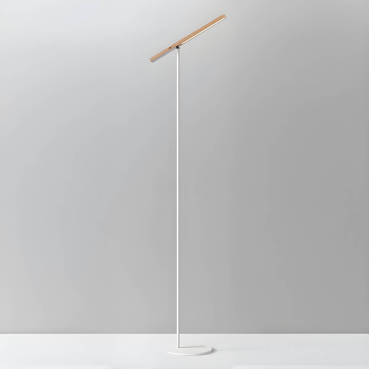 Oran - Modern Floor Lamp with Adjustable Lighting